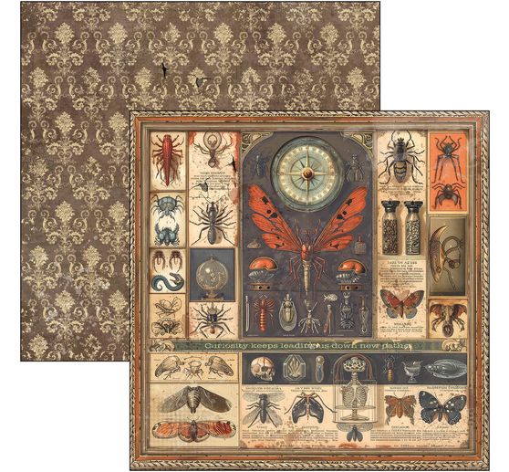 Scrapbook paper "Cabinet of Curiosities"