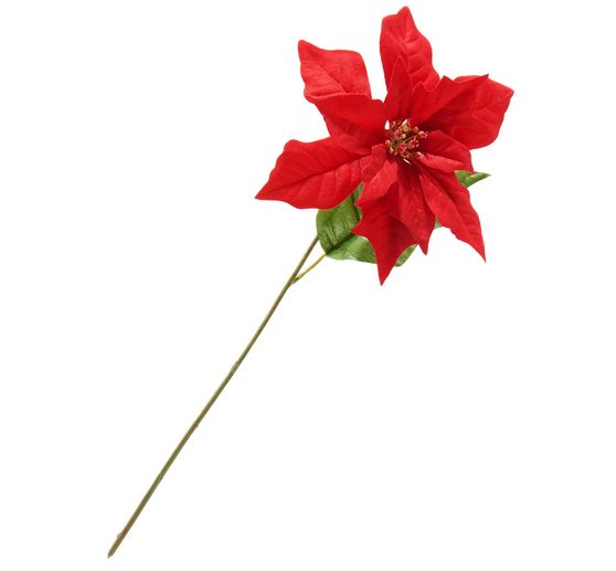 Weihnachtsstern-Zweig "Gloria", L 45 cm