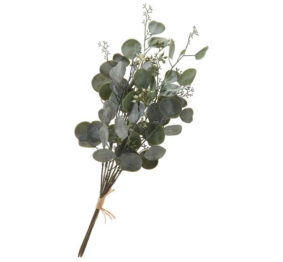 Eukalyptus Bund "Ella"