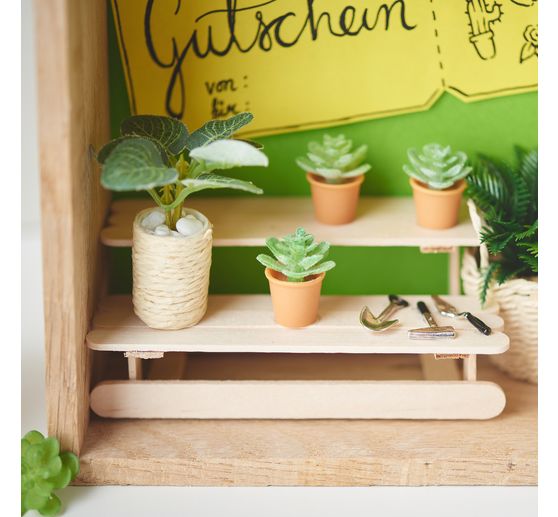 Miniature set "Houseplants"
