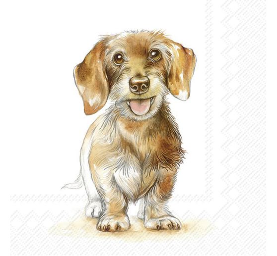 Serviette "Fritz"