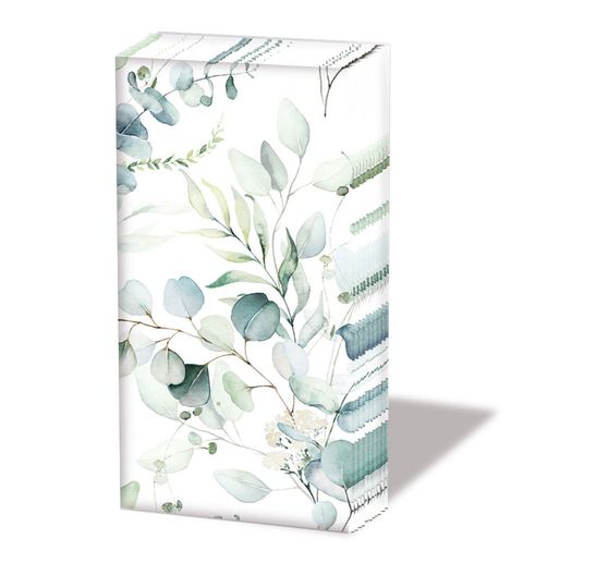 Papiertaschentücher "Eucalyptus all over"
