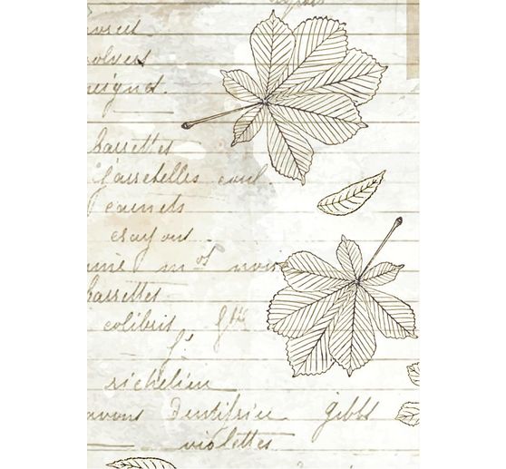 Motiv-Strohseide Backgrounds "Herbarium Silvae", 8er Set