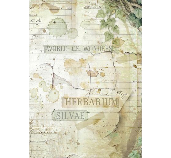 Motiv-Strohseide Backgrounds "Herbarium Silvae", 8er Set