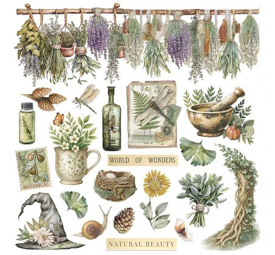 Rub On assortment "Herbarium Silvae"