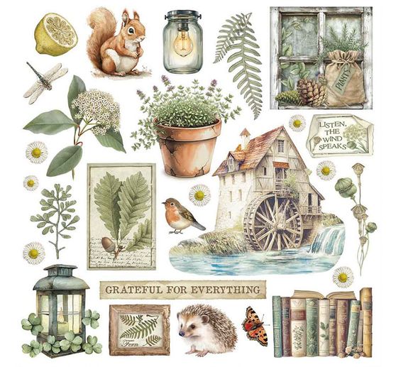 Rub On assortment "Herbarium Silvae"