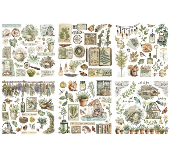 Rub On assortment "Herbarium Silvae"