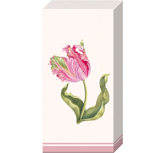 Papiertaschentücher "Driselle"