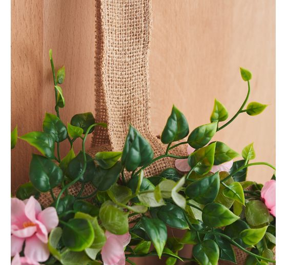 Eucalyptus bush, green