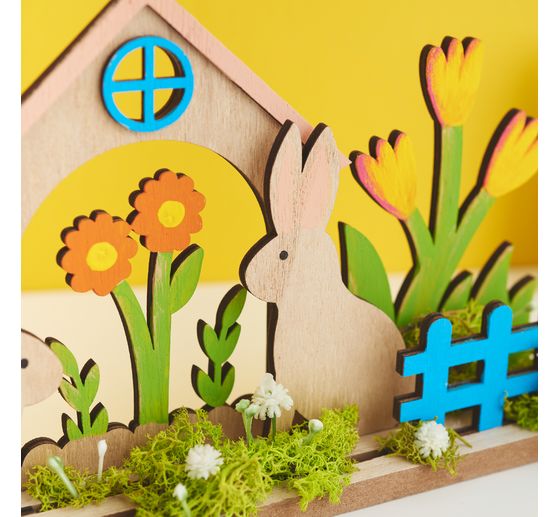 VBS Islandmoos, 100 g