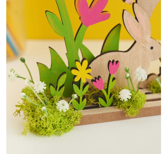 Acker-Witwenblume "Evergreen"