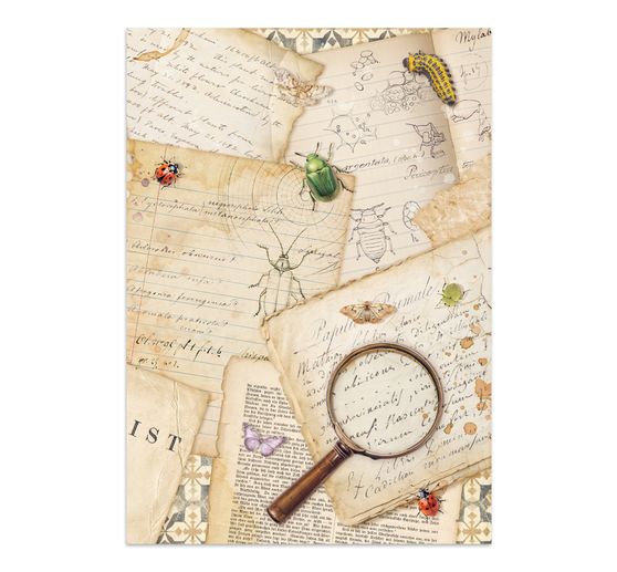 Junk Journal Book "All Around"