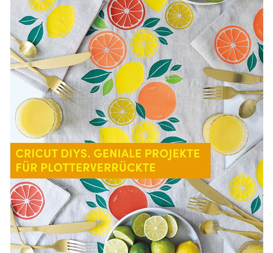Buch "Cricut DIYs"