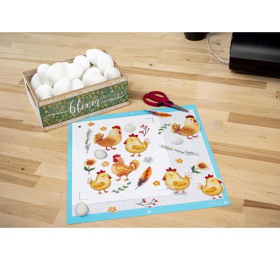 Silhouette CAMEO 5 Alpha "Glossy White"