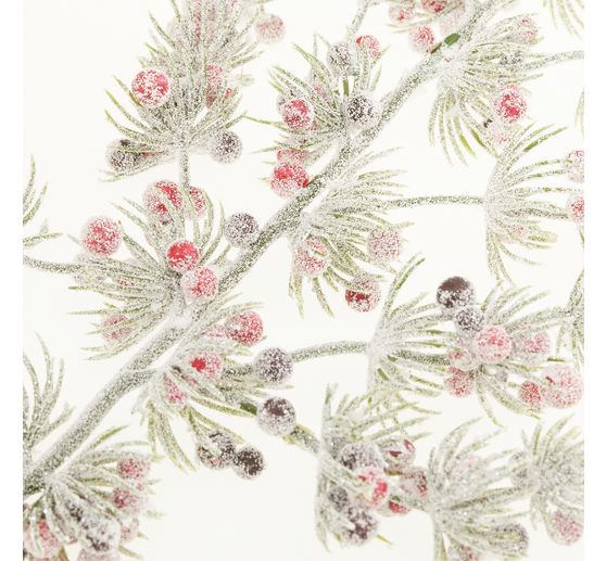 Pinien-Zweig mit Beeren