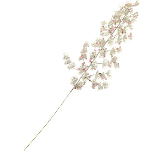 Pinien-Zweig mit Beeren