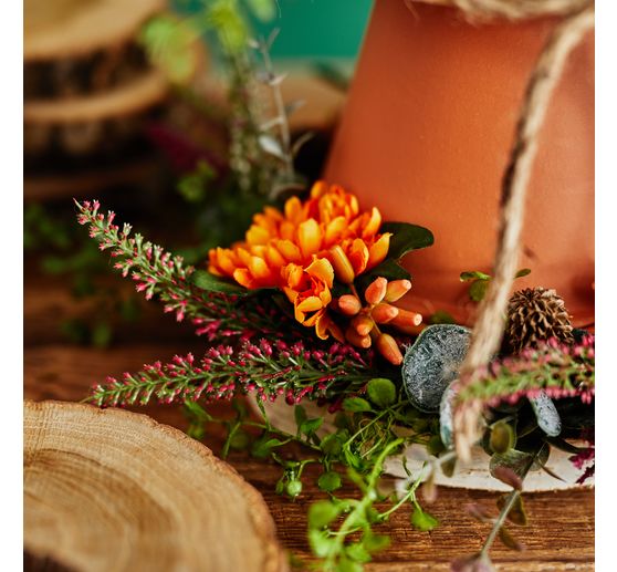 Succulent branch