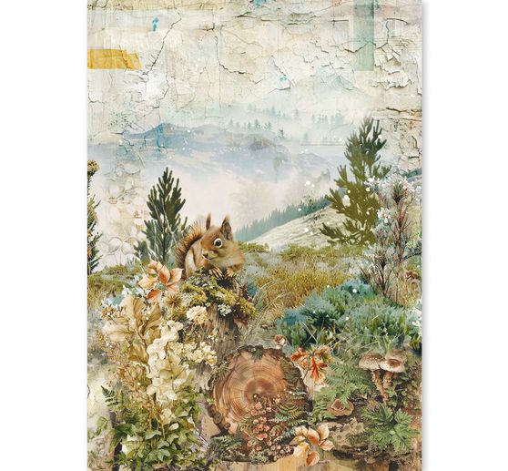 Ciao Bella motif straw silk assortment "The Nature Journal", set of 8