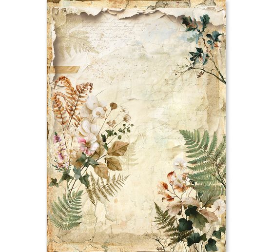 Ciao Bella motif straw silk assortment "The Nature Journal", set of 8