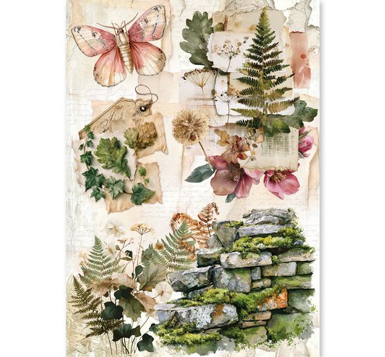 Ciao Bella motif straw silk assortment "The Nature Journal", set of 8