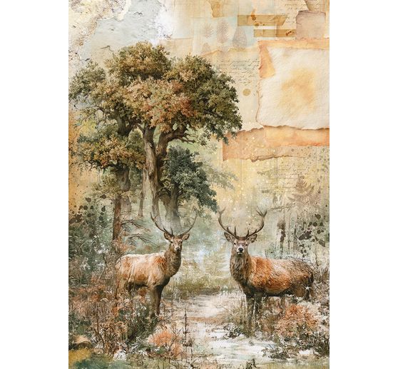 Ciao Bella motif straw silk assortment "The Nature Journal", set of 8