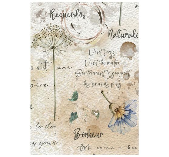 Stamperia Motif straw silk assortment "Flowers and Poems", DIN A6, set of 8
