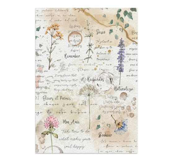 Stamperia A5 Junk Journal Focus Points "Flowers and Poems"