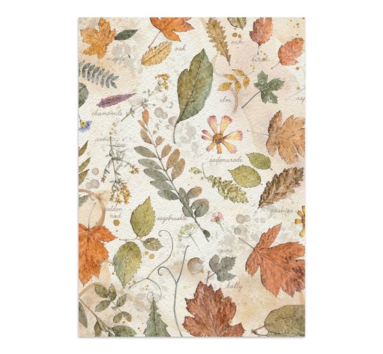 Stamperia Junk Journal Book "Flowers and Poems"