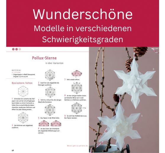 Buch "Zarte Origamisterne (kreativ.kompakt.)"