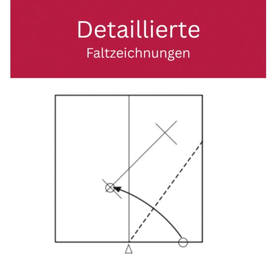 Buch "Zarte Origamisterne (kreativ.kompakt.)"