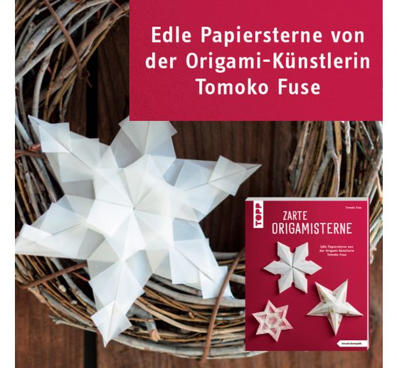 Buch "Zarte Origamisterne (kreativ.kompakt.)"