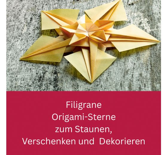 Buch "Zarte Origamisterne (kreativ.kompakt.)"