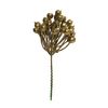 Berries Pick "Metallic" Gold