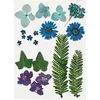 Gepresste Blüten und Blätter Blau