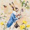 Serviette "Mr. Rabbit"
