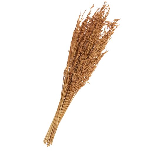 Dried flowers "Oat Grass", L approx. 75 cm