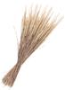 Trockenblumen "Phleum Pratensis"