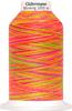 Gütermann Nähgarn Miniking Multicolor, No. 120