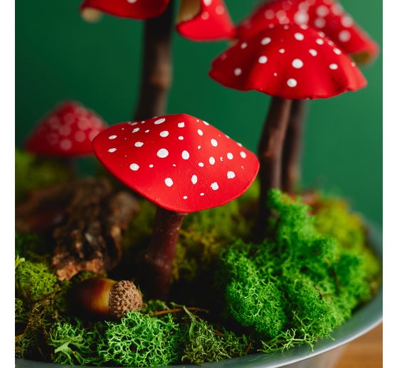 VBS Iceland moss, 100 g