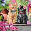 Diamond Painting "Crystal Art Card"