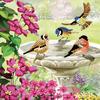 Diamond Painting "Crystal Art Card"
