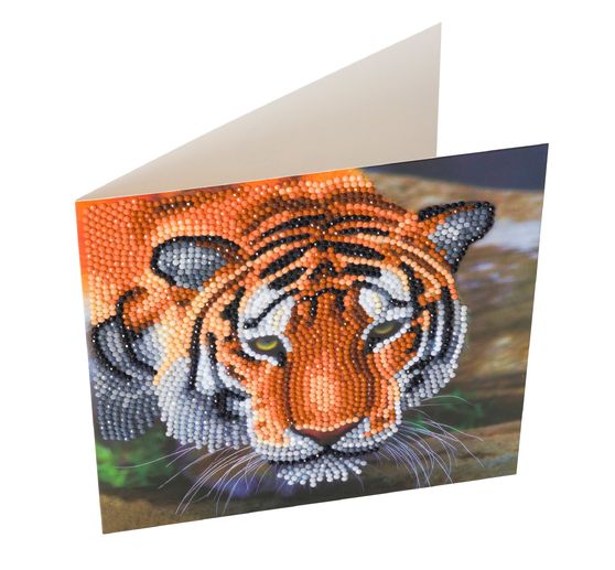 Diamond Painting "Crystal Art Card"