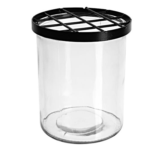 Glasvase mit Steckgitter