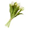 Tulpen-Bund mit 3 Blüten und 2 Knospen