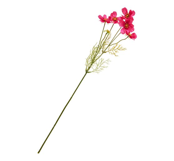 Cosmea branch with 5 flowers