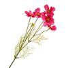 Cosmea branch with 5 flowers Pink