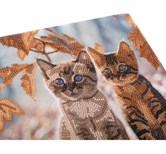 Diamond Painting "Crystal Art Kit", 30 x 30 cm