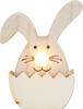 VBS Hase mit LED-Nase