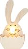 VBS Hase mit LED-Nase