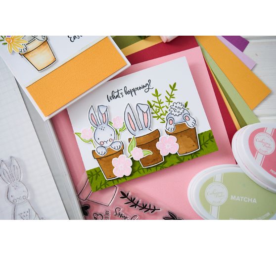 Sizzix Thinlits Stanzschablone by Catherine Pooler
